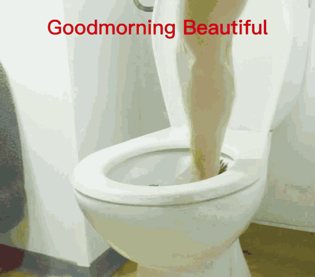 Good Morning Beautiful GIF - Good Morning Beautiful Rose GIFs