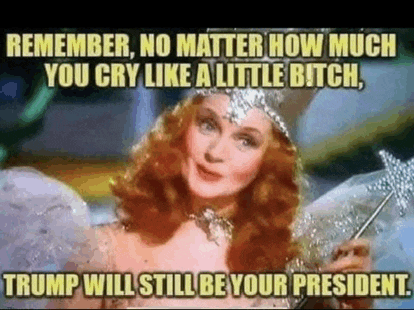 a woman in a fairy costume is holding a wand and a quote from the movie the wizard of oz .