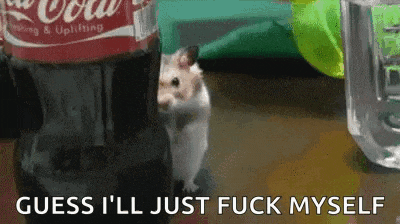 a hamster standing next to a bottle of coca cola