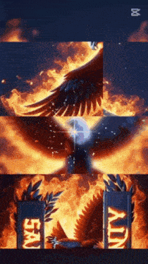 a picture of an eagle surrounded by flames with a sign that says unity