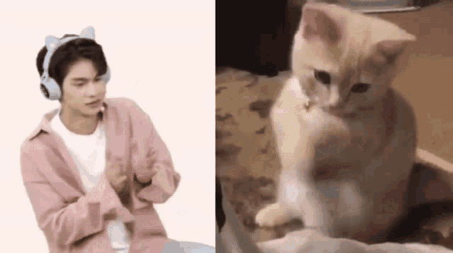 a man wearing headphones and a cat wearing a collar are sitting next to each other .