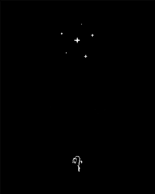 a black and white drawing of a person kneeling down under a starry night sky .