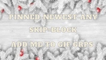 a sign that says " pinned newest-any skip-block add me to gif grps "