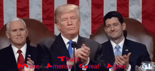 Trump 2020 GIF - Trump 2020 Mega GIFs