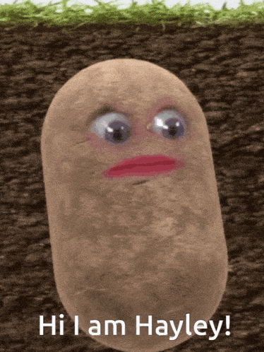 a potato with a face and the words hi i am hayley on the bottom