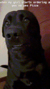 a picture of a black dog with a caption that reads " when my girl starts ordering a yes no yes pizza "