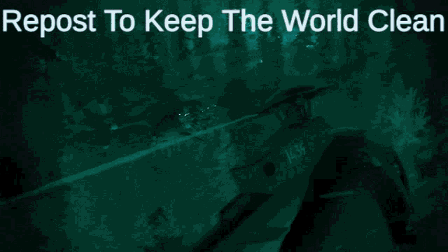 a poster that says repost to keep the world clean on the top