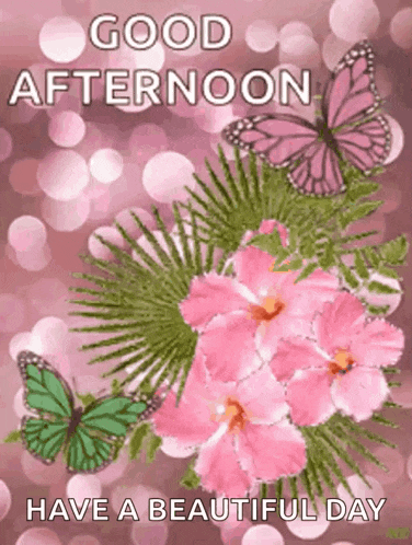 a picture of pink flowers and butterflies with the words `` good afternoon have a beautiful day ''