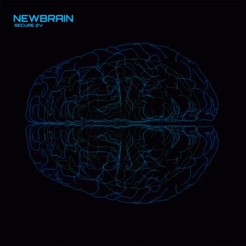 Newbrain GIF - Newbrain GIFs