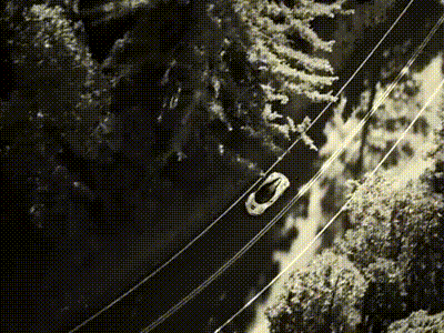 a car is driving down a road in the woods