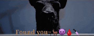 a picture of a dog with the words " found you " on the bottom