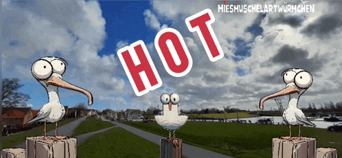 a cartoon of seagulls standing on a post with the word hot written on the top