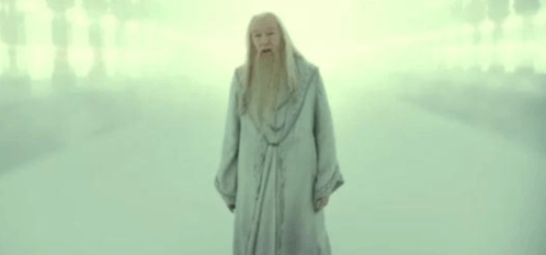 Gandalf Dumbledore GIF - Gandalf Dumbledore Harry GIFs