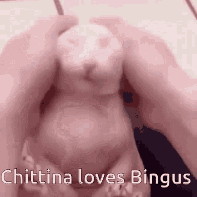 Chit Chittina GIF - Chit Chittina Chit Bingus GIFs