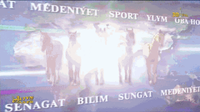 Turkmenistan Altyn Asyr GIF - Turkmenistan Altyn Asyr Berdimuhamedow GIFs
