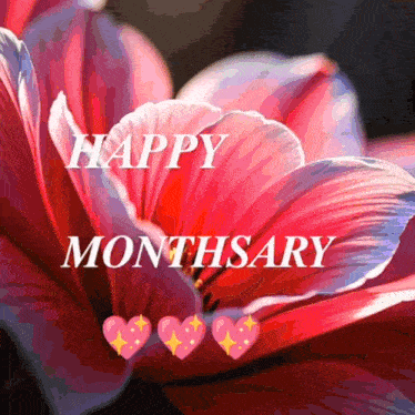 a red flower with the words happy monthsary written on it