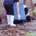 a person is holding a blue crate over a panda bear 's head .