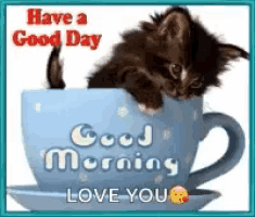 a kitten is sitting in a blue cup with the words `` have a good day good morning love you ''