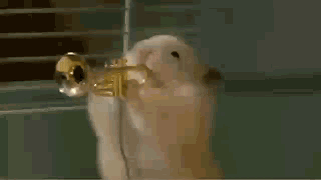 a hamster is holding a trumpet in its mouth in a cage .