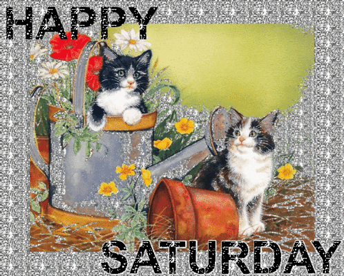 a happy saturday greeting card with two cats