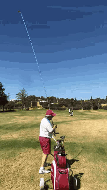 Golfing Fishing Pole GIF - Golfing Golf Fishing Pole GIFs
