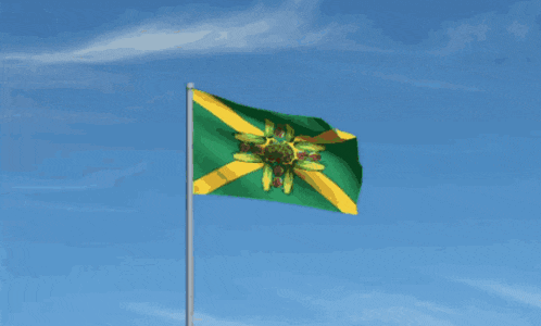 a green and yellow flag with a flower on it is waving in the wind