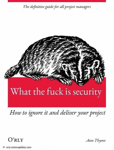 a book titled what the fuck is security has a badger on the cover