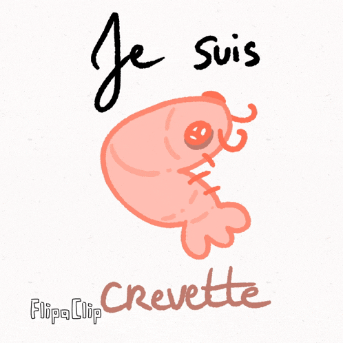 a drawing of a shrimp with the words je suis crevette written below it
