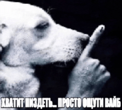 a black and white photo of a dog making a shhh gesture