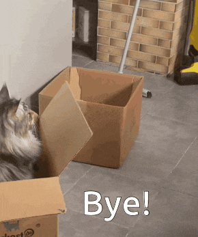 a cat is looking out of a cardboard box with the words bye written on it