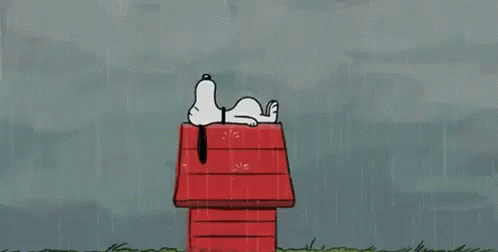 Snoopy Rain GIF - Snoopy Rain GIFs