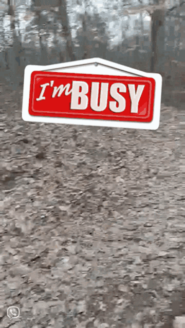 Im Busy Busy GIF - Im Busy Busy Dog GIFs