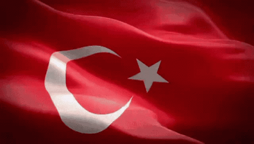 Flag Turkey GIF - Flag Turkey Flag Of Turkey GIFs