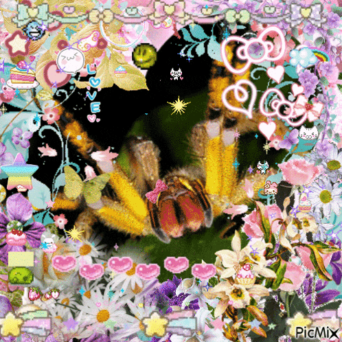 a picture of a spider is surrounded by flowers and hearts and says picmix on the bottom right