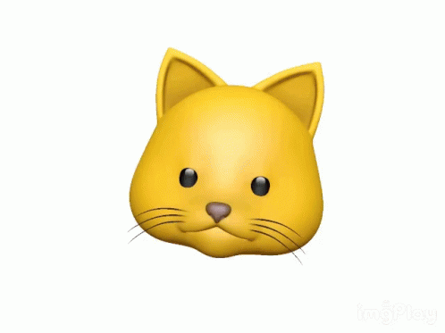 Chat Cat GIF - Chat Cat Shut GIFs