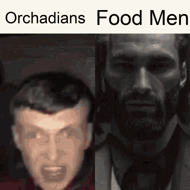Foodmen Orchids Flowers GIF