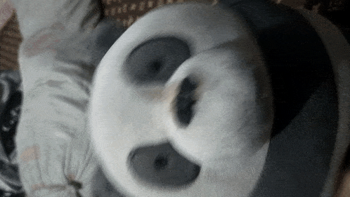 a close up of a stuffed panda bear 's face with a blurry background
