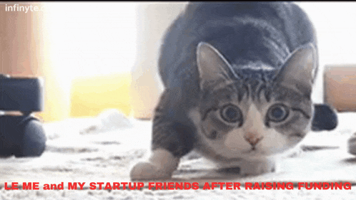 Infinyte Club Startup GIF