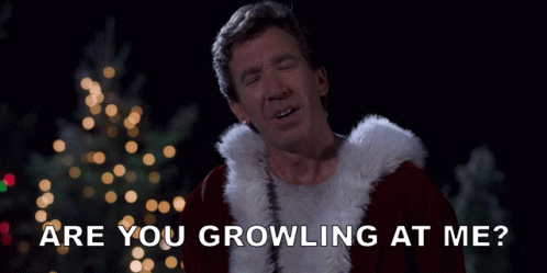 Are You Growling At Me The Santa Clause GIF - Are You Growling At Me The Santa Clause Tim Allen GIFs