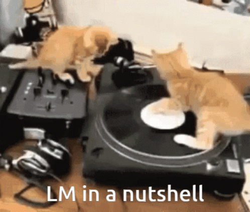 Kittens Lm GIF - Kittens Lm Record GIFs