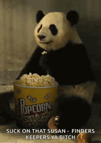 Popcorn Panda GIF - Popcorn Panda Eating GIFs