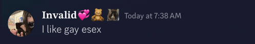a screenshot of a conversation between invalid and i like gay sex
