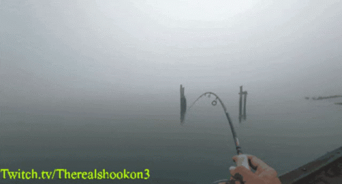 Fishing Eerie GIF - Fishing Eerie Smog GIFs