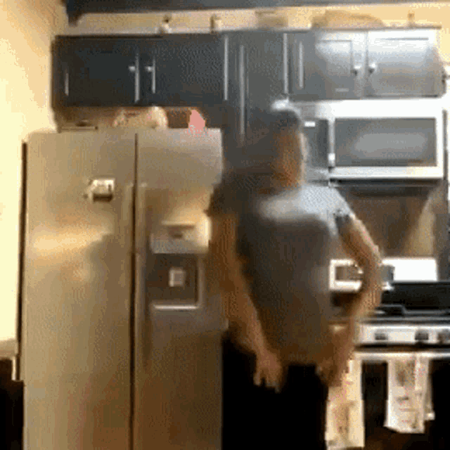 Dancing Refrigerator GIF