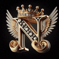 the letter n is surrounded by a crown and wings .