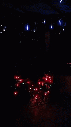 Noel Christmas Tree GIF - Noel Christmas Tree Christmas Lights GIFs