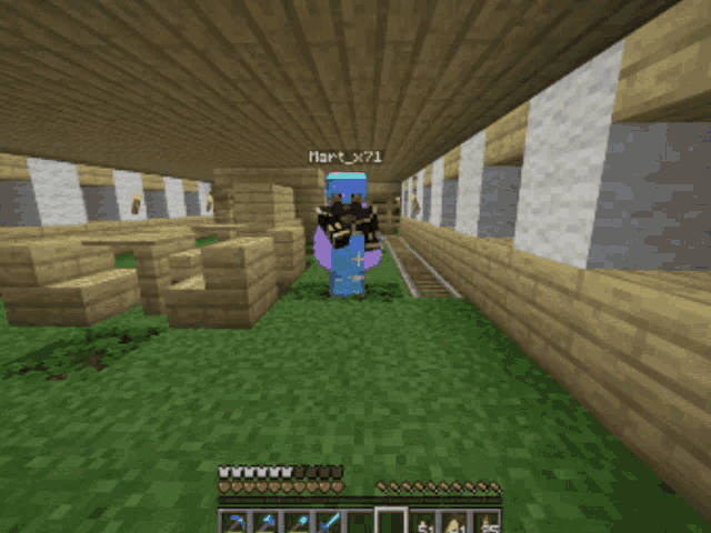a screenshot of a minecraft game shows a person standing in a building