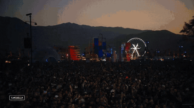 a crowd of people at a music festival with a ferris wheel in the distance