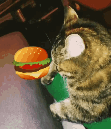 Lily Burger GIF - Lily Burger Cat GIFs