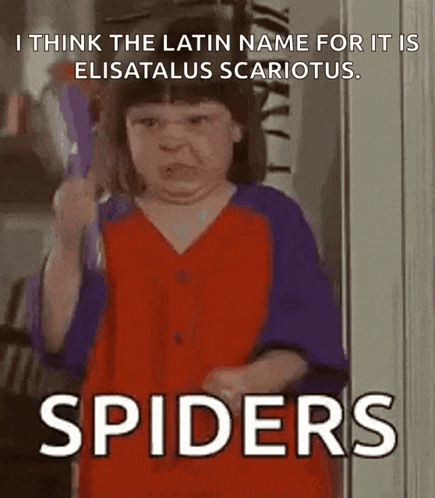 a little girl in a red and purple dress is holding a toy spider and says spiders .